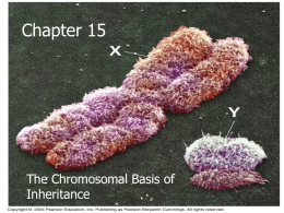 Ch 15 Powerpoint - is: www.springersci.weebly.com
