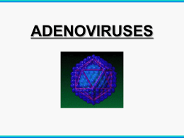 Adenovirus