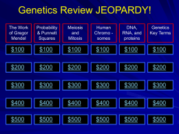 Genetics_Review_Jeopardy_