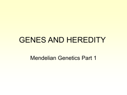 GENES AND HEREDITY