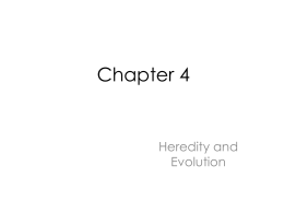 Chapter4ol