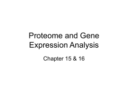4-Gene_Expression(Ch15)