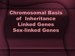 Chromosomal Basis of Inheritance Linked
