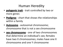 human heredity 2013