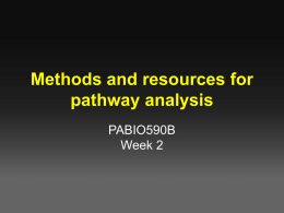 Network & Pathway Analysis