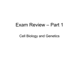 Exam Review – Part 1