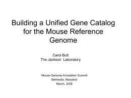 Bult - Mouse Genome Informatics