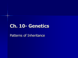 Ch. 10- Genetics