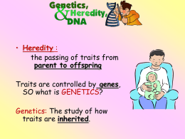 whatisgeneticsnotes2008