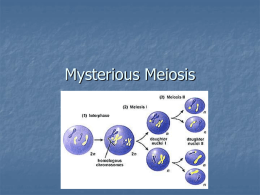 Mysterious Meiosis