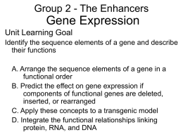 Function of Sequence Elements (PowerPoint) Madison 2006