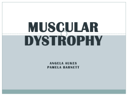 What is Muscular Dystrophy? - Angela2301EducationPortfolio