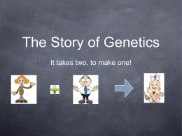 The Story of Genetics