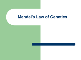 Mendel`s Law of Genetics
