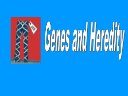 Chapter 11 Genetics Intro