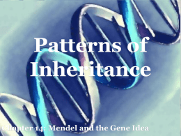 Mendel and the Gene Idea Patterns of Inheritance