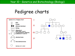 Pedigree Chart PowerPoint