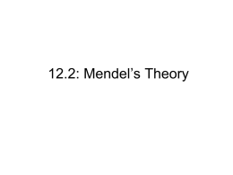 12.2: Mendel`s Theory