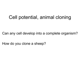 Cell potential and cloning