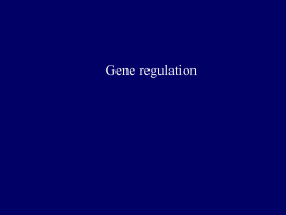Regulation and mutation