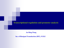 Transcriptional regulation Promoter and transcription factors A