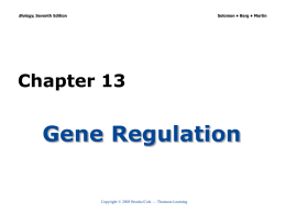 Gene Regulation - Biology Junction