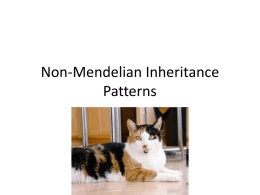 Non-Mendelian Inheritance Patterns