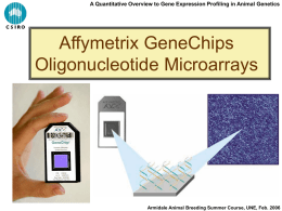 Affymetrix Chips