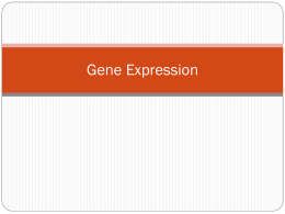 Gene Expression - houstonisd.org