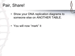 dna-replication-recap-and-gene-expression