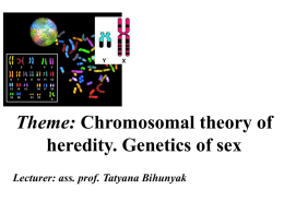 05. Chromosomal theory of heredity Genetics of sex