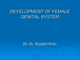 11.Dev. of Female Genital System