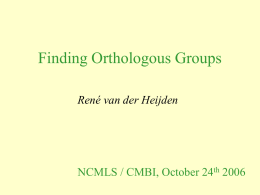 Finding orthologous groups