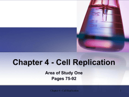 Chapter 4 - Cell Replication