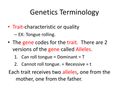 Genetics Terminology