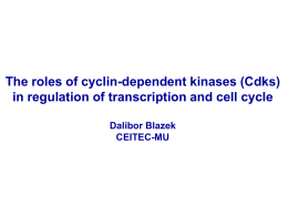 Regulation of Cell Cycle