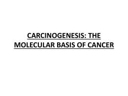 CARCINOGENESIS: THE MOLECULAR BASIS OF CANCER