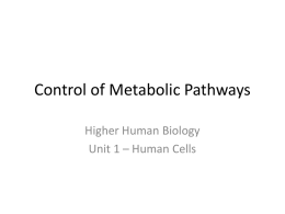 Control of Metabolic Pathways