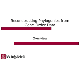 Reconstructing Phylogenies from Gene