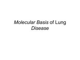 Molecular Basis of Lung Disease