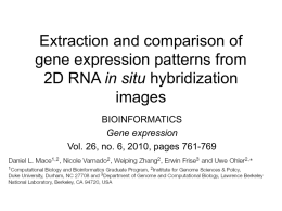 Extraction and comparison of gene expression patterns from