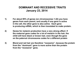 3) Dominant and recessive traits