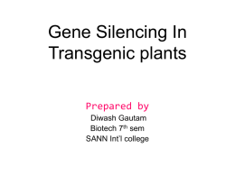 Gene Silencing In Transgenic plants