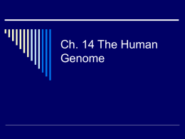 Ch. 14 The Human Genome