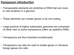 Gene Tagging with Transposons