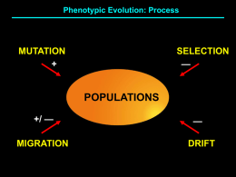 Lecture 5 Genetics in Mendelian Populations II