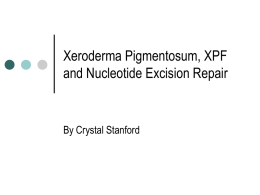 Xeroderma Pigmentosum, XPF and Nucleotide Excision Repair