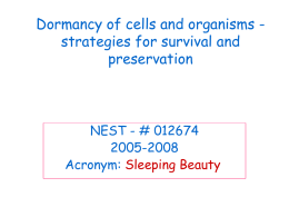 Dormancy of cells and organisms -strategies for survival and