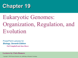 Eukaryotic Genomes