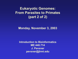 Individual eukaryotic genomes